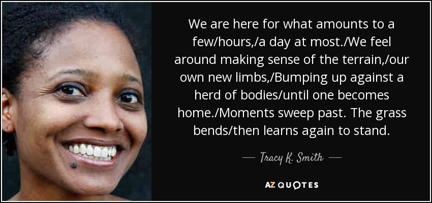 We are here for what amounts to a few/hours,/a day at most./We feel around making sense of the terrain,/our own new limbs,/Bumping up against a herd of bodies/until one becomes home./Moments sweep past. The grass bends/then learns again to stand. - Tracy K. Smith
