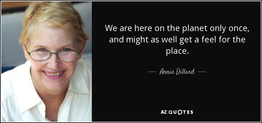 We are here on the planet only once, and might as well get a feel for the place. - Annie Dillard