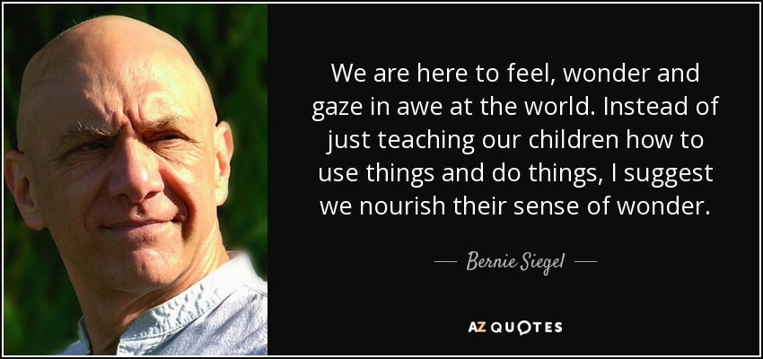 We are here to feel, wonder and gaze in awe at the world. Instead of just teaching our children how to use things and do things, I suggest we nourish their sense of wonder. - Bernie Siegel