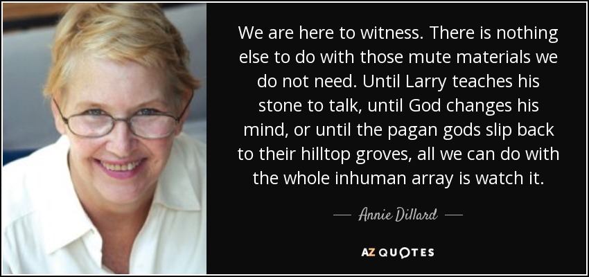 We are here to witness. There is nothing else to do with those mute materials we do not need. Until Larry teaches his stone to talk, until God changes his mind, or until the pagan gods slip back to their hilltop groves, all we can do with the whole inhuman array is watch it. - Annie Dillard