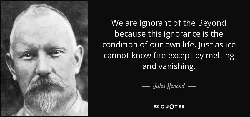 We are ignorant of the Beyond because this ignorance is the condition of our own life. Just as ice cannot know fire except by melting and vanishing. - Jules Renard