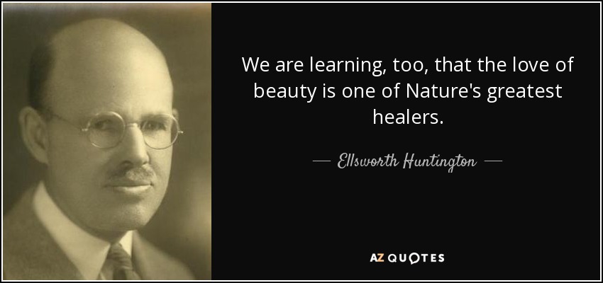 We are learning, too, that the love of beauty is one of Nature's greatest healers. - Ellsworth Huntington