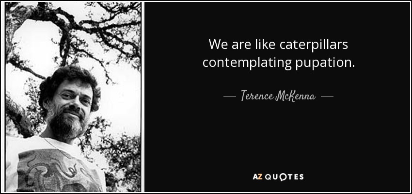 We are like caterpillars contemplating pupation. - Terence McKenna