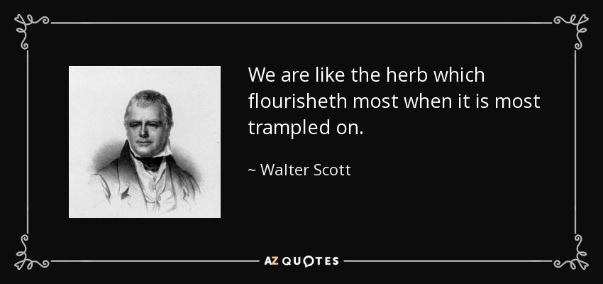 We are like the herb which flourisheth most when it is most trampled on. - Walter Scott