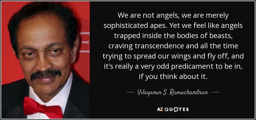 We are not angels, we are merely sophisticated apes. Yet we feel like angels trapped inside the bodies of beasts, craving transcendence and all the time trying to spread our wings and fly off, and it's really a very odd predicament to be in, if you think about it. - Vilayanur S. Ramachandran