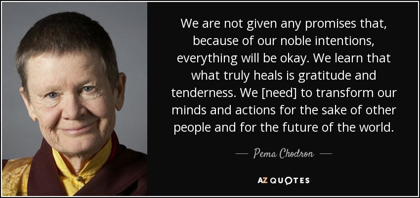 We are not given any promises that, because of our noble intentions, everything will be okay. We learn that what truly heals is gratitude and tenderness. We [need] to transform our minds and actions for the sake of other people and for the future of the world. - Pema Chodron