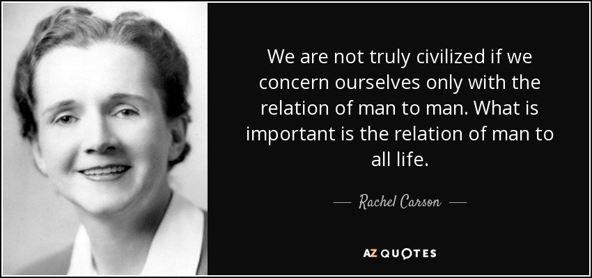 We are not truly civilized if we concern ourselves only with the relation of man to man. What is important is the relation of man to all life. - Rachel Carson