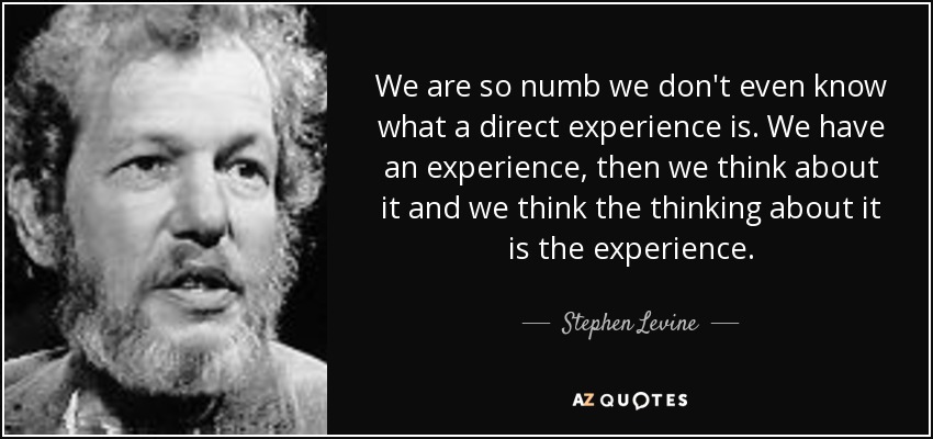 We are so numb we don't even know what a direct experience is. We have an experience, then we think about it and we think the thinking about it is the experience. - Stephen Levine