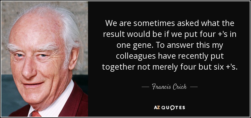 We are sometimes asked what the result would be if we put four +'s in one gene. To answer this my colleagues have recently put together not merely four but six +'s. - Francis Crick