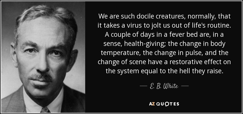 We are such docile creatures, normally, that it takes a virus to jolt us out of life's routine. A couple of days in a fever bed are, in a sense, health-giving; the change in body temperature, the change in pulse , and the change of scene have a restorative effect on the system equal to the hell they raise. - E. B. White