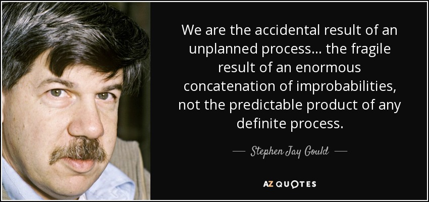We are the accidental result of an unplanned process ... the fragile result of an enormous concatenation of improbabilities, not the predictable product of any definite process. - Stephen Jay Gould