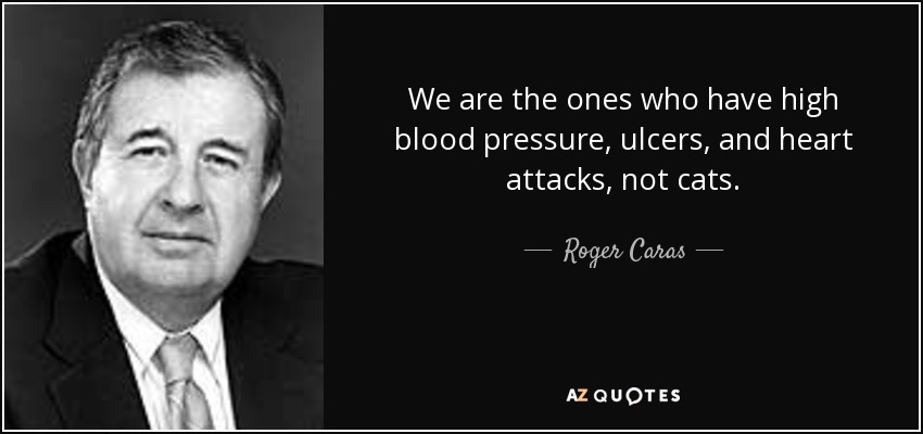 We are the ones who have high blood pressure, ulcers, and heart attacks, not cats. - Roger Caras