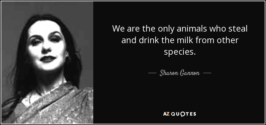 We are the only animals who steal and drink the milk from other species. - Sharon Gannon