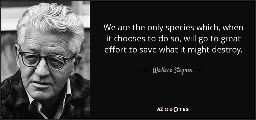 We are the only species which, when it chooses to do so, will go to great effort to save what it might destroy. - Wallace Stegner