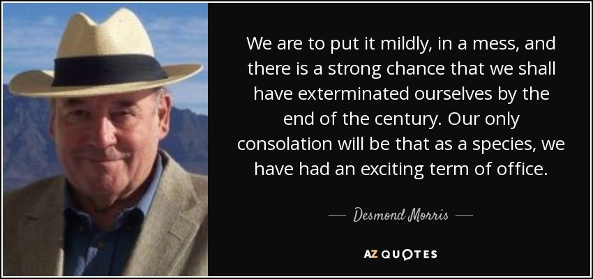 We are to put it mildly, in a mess, and there is a strong chance that we shall have exterminated ourselves by the end of the century. Our only consolation will be that as a species, we have had an exciting term of office. - Desmond Morris