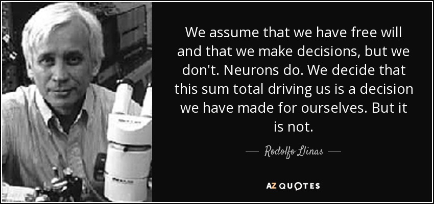We assume that we have free will and that we make decisions, but we don't. Neurons do. We decide that this sum total driving us is a decision we have made for ourselves. But it is not. - Rodolfo Llinas