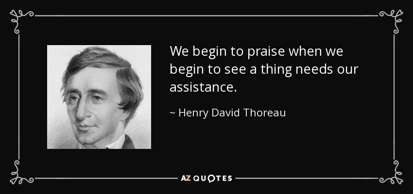 We begin to praise when we begin to see a thing needs our assistance. - Henry David Thoreau