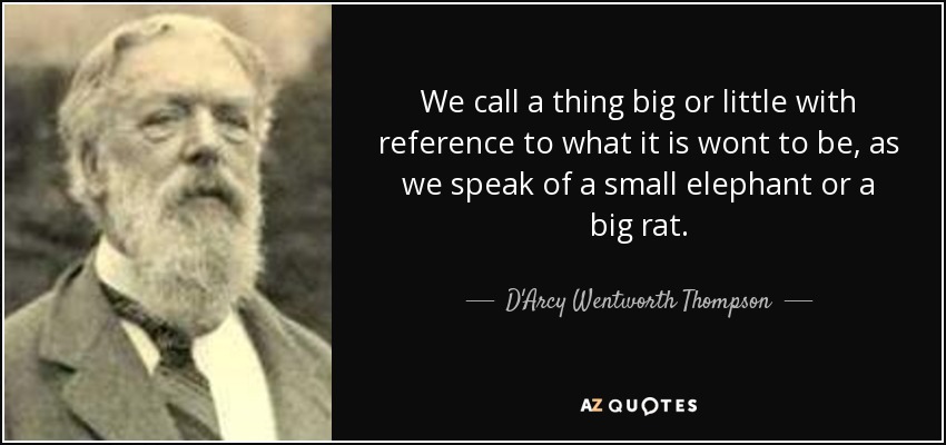 We call a thing big or little with reference to what it is wont to be, as we speak of a small elephant or a big rat. - D'Arcy Wentworth Thompson