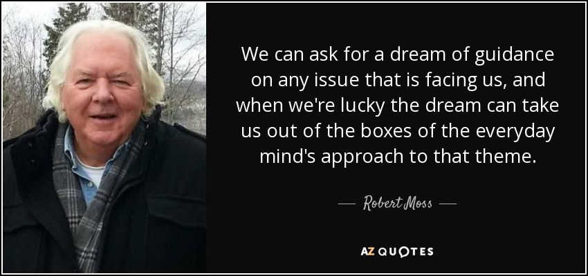 We can ask for a dream of guidance on any issue that is facing us, and when we're lucky the dream can take us out of the boxes of the everyday mind's approach to that theme. - Robert Moss