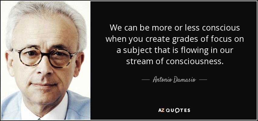We can be more or less conscious when you create grades of focus on a subject that is flowing in our stream of consciousness. - Antonio Damasio