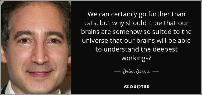 We can certainly go further than cats, but why should it be that our brains are somehow so suited to the universe that our brains will be able to understand the deepest workings? - Brian Greene