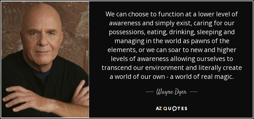 We can choose to function at a lower level of awareness and simply exist, caring for our possessions, eating, drinking, sleeping and managing in the world as pawns of the elements, or we can soar to new and higher levels of awareness allowing ourselves to transcend our environment and literally create a world of our own - a world of real magic. - Wayne Dyer