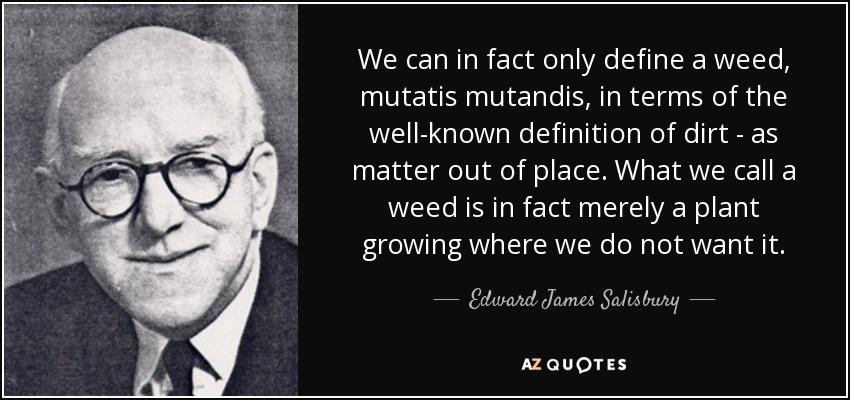 We can in fact only define a weed, mutatis mutandis, in terms of the well-known definition of dirt - as matter out of place. What we call a weed is in fact merely a plant growing where we do not want it. - Edward James Salisbury