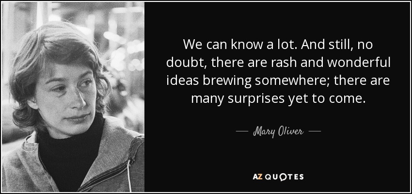 We can know a lot. And still, no doubt, there are rash and wonderful ideas brewing somewhere; there are many surprises yet to come. - Mary Oliver
