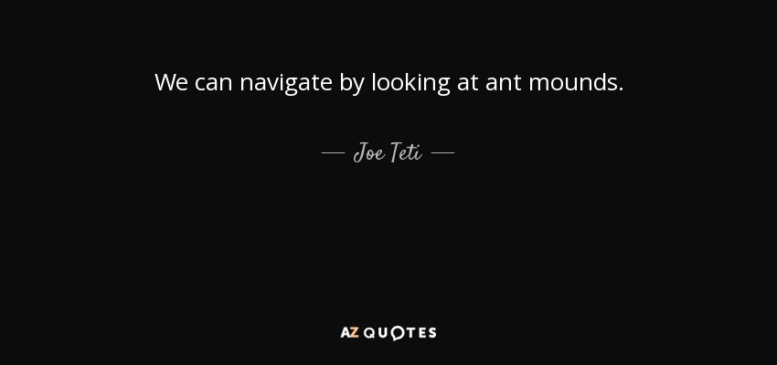 We can navigate by looking at ant mounds. - Joe Teti