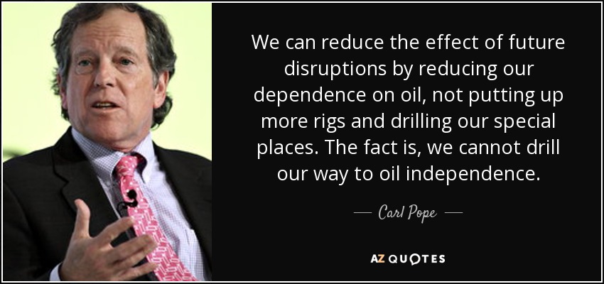 We can reduce the effect of future disruptions by reducing our dependence on oil, not putting up more rigs and drilling our special places. The fact is, we cannot drill our way to oil independence. - Carl Pope