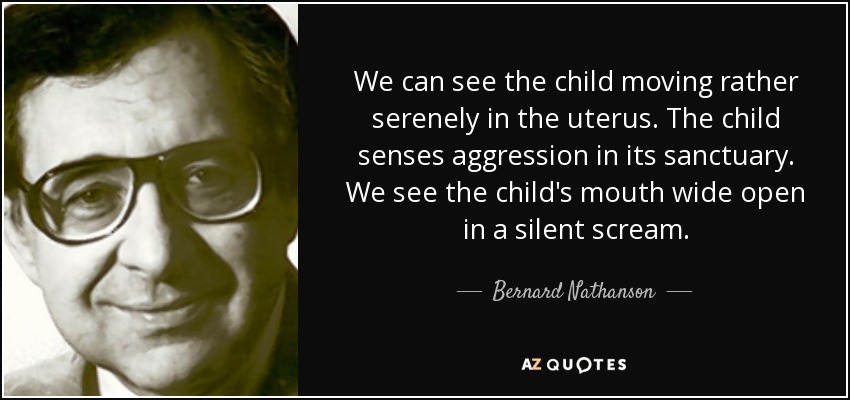 We can see the child moving rather serenely in the uterus. The child senses aggression in its sanctuary. We see the child's mouth wide open in a silent scream. - Bernard Nathanson