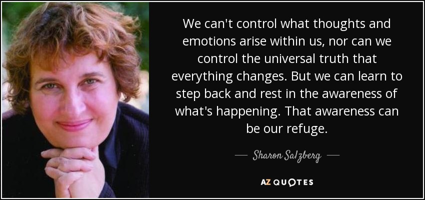 We can't control what thoughts and emotions arise within us, nor can we control the universal truth that everything changes. But we can learn to step back and rest in the awareness of what's happening. That awareness can be our refuge. - Sharon Salzberg