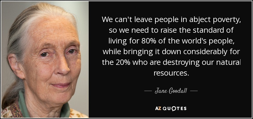 We can't leave people in abject poverty, so we need to raise the standard of living for 80% of the world's people, while bringing it down considerably for the 20% who are destroying our natural resources. - Jane Goodall
