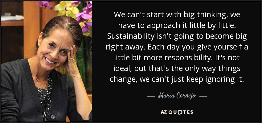 We can't start with big thinking, we have to approach it little by little. Sustainability isn't going to become big right away. Each day you give yourself a little bit more responsibility. It's not ideal, but that's the only way things change, we can't just keep ignoring it. - Maria Cornejo