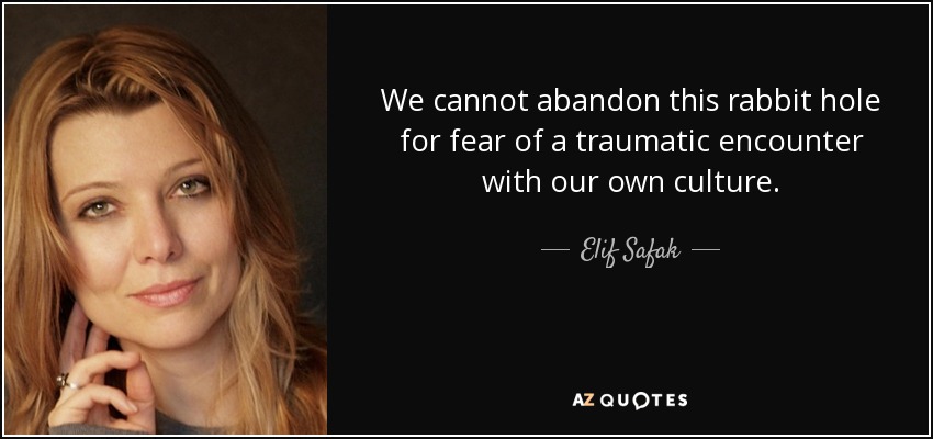 We cannot abandon this rabbit hole for fear of a traumatic encounter with our own culture. - Elif Safak