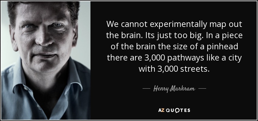 We cannot experimentally map out the brain. Its just too big. In a piece of the brain the size of a pinhead there are 3,000 pathways like a city with 3,000 streets. - Henry Markram