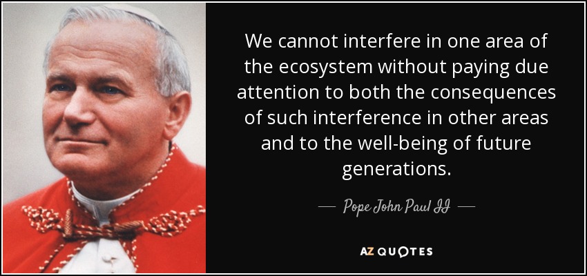 We cannot interfere in one area of the ecosystem without paying due attention to both the consequences of such interference in other areas and to the well-being of future generations. - Pope John Paul II