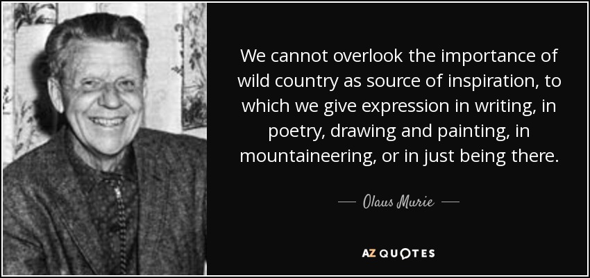 We cannot overlook the importance of wild country as source of inspiration, to which we give expression in writing, in poetry, drawing and painting, in mountaineering, or in just being there. - Olaus Murie
