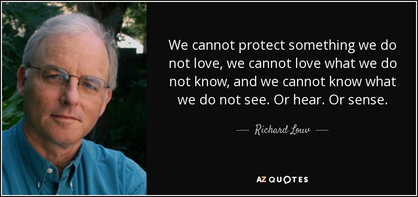 We cannot protect something we do not love, we cannot love what we do not know, and we cannot know what we do not see. Or hear. Or sense. - Richard Louv