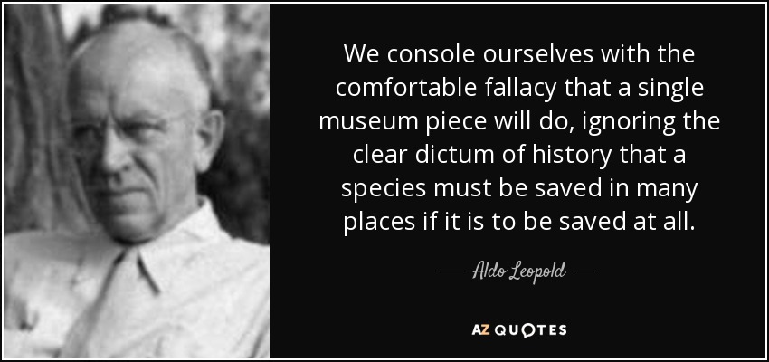 We console ourselves with the comfortable fallacy that a single museum piece will do, ignoring the clear dictum of history that a species must be saved in many places if it is to be saved at all. - Aldo Leopold