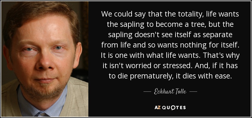 We could say that the totality, life wants the sapling to become a tree, but the sapling doesn't see itself as separate from life and so wants nothing for itself. It is one with what life wants. That's why it isn't worried or stressed. And, if it has to die prematurely, it dies with ease. - Eckhart Tolle