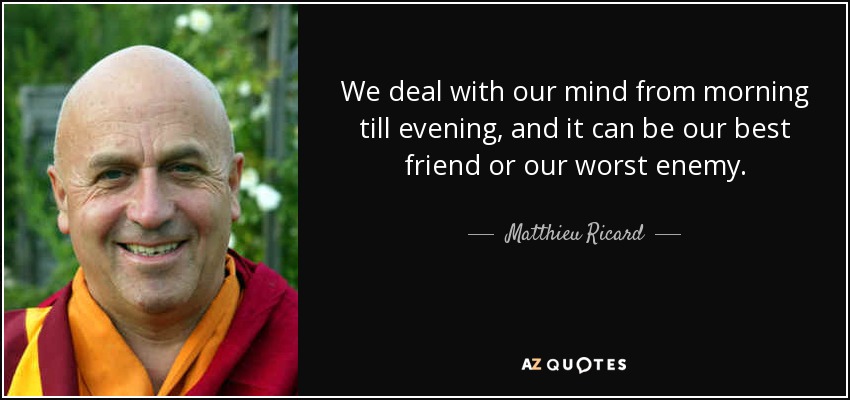We deal with our mind from morning till evening, and it can be our best friend or our worst enemy. - Matthieu Ricard