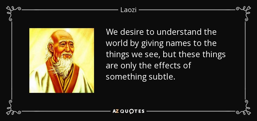 We desire to understand the world by giving names to the things we see, but these things are only the effects of something subtle. - Laozi
