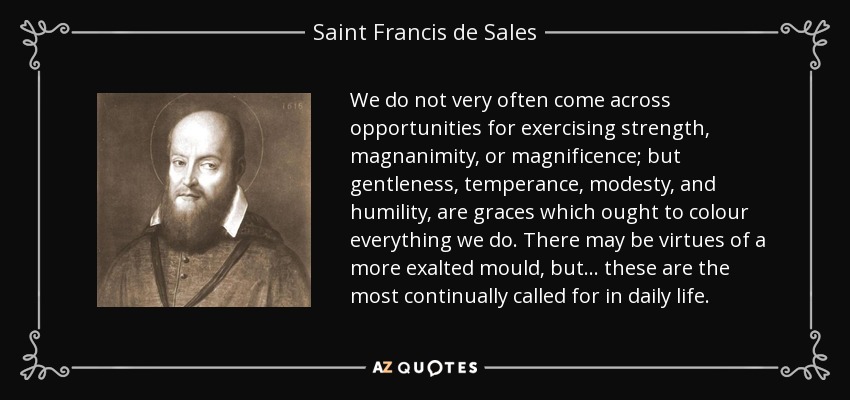 We do not very often come across opportunities for exercising strength, magnanimity, or magnificence; but gentleness, temperance, modesty, and humility, are graces which ought to colour everything we do. There may be virtues of a more exalted mould, but... these are the most continually called for in daily life. - Saint Francis de Sales