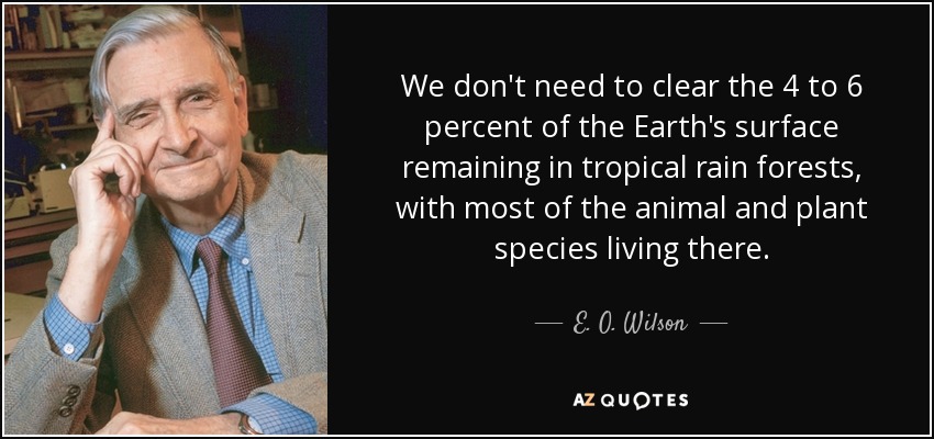 We don't need to clear the 4 to 6 percent of the Earth's surface remaining in tropical rain forests, with most of the animal and plant species living there. - E. O. Wilson