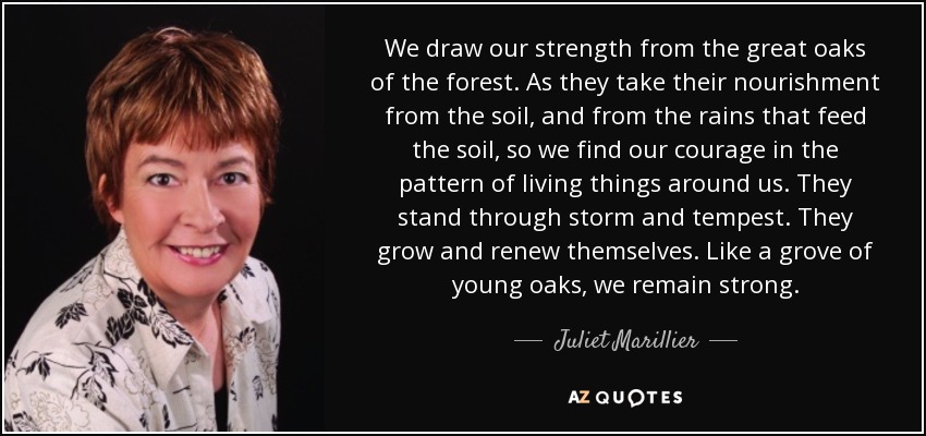 We draw our strength from the great oaks of the forest. As they take their nourishment from the soil, and from the rains that feed the soil, so we find our courage in the pattern of living things around us. They stand through storm and tempest. They grow and renew themselves. Like a grove of young oaks, we remain strong. - Juliet Marillier