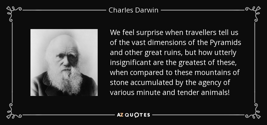 We feel surprise when travellers tell us of the vast dimensions of the Pyramids and other great ruins, but how utterly insignificant are the greatest of these, when compared to these mountains of stone accumulated by the agency of various minute and tender animals! - Charles Darwin