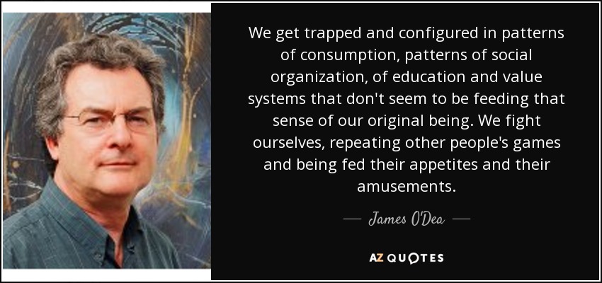 We get trapped and configured in patterns of consumption, patterns of social organization, of education and value systems that don't seem to be feeding that sense of our original being. We fight ourselves, repeating other people's games and being fed their appetites and their amusements. - James O'Dea