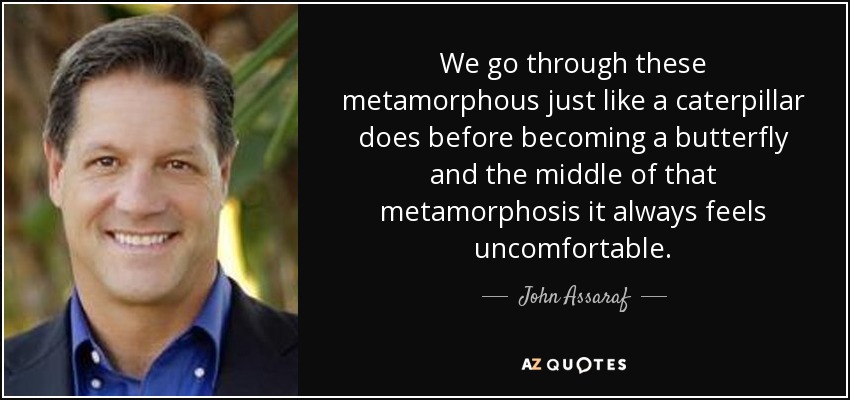 We go through these metamorphous just like a caterpillar does before becoming a butterfly and the middle of that metamorphosis it always feels uncomfortable. - John Assaraf