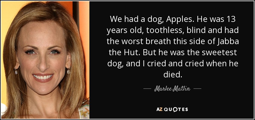 We had a dog, Apples. He was 13 years old, toothless, blind and had the worst breath this side of Jabba the Hut. But he was the sweetest dog, and I cried and cried when he died. - Marlee Matlin